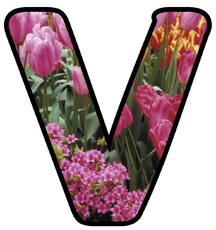 Dekobuchstaben-Tulpe_V.jpg